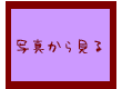 �ʐ^�ꗗ